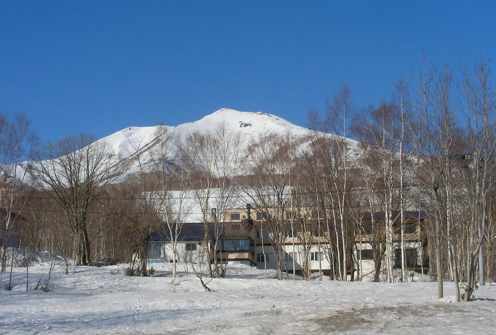 Niseko Pension Bellary Giappone